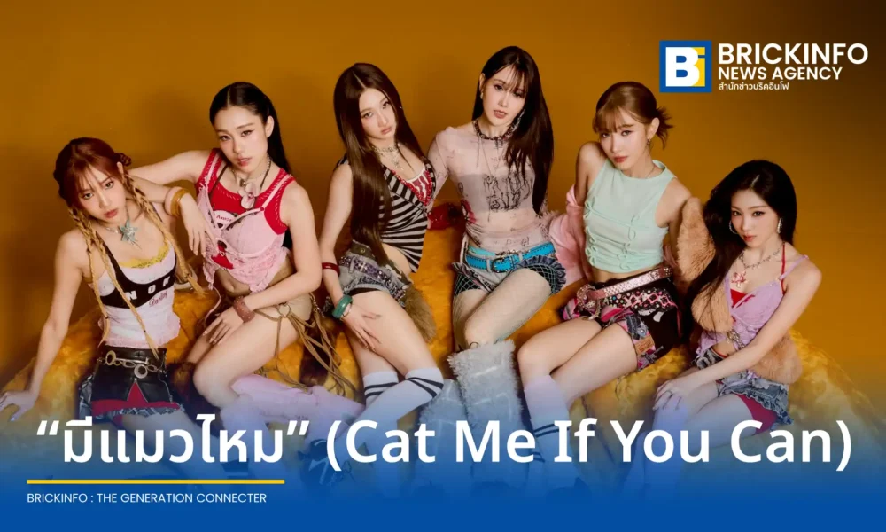 FELIZZ วงเกิร์ลกรุ๊ปจากค่าย RISER MUSIC คัมแบ็กซิงเกิลที่ 4 เพลง มีแมวไหม (Cat Me If You Can) ได้ LEGO จากวง LYKN มาร่วมฟีทเจอริ่งเพิ่มจริตความเซ็กซี่ขี้อ้อน