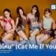 FELIZZ วงเกิร์ลกรุ๊ปจากค่าย RISER MUSIC คัมแบ็กซิงเกิลที่ 4 เพลง มีแมวไหม (Cat Me If You Can) ได้ LEGO จากวง LYKN มาร่วมฟีทเจอริ่งเพิ่มจริตความเซ็กซี่ขี้อ้อน