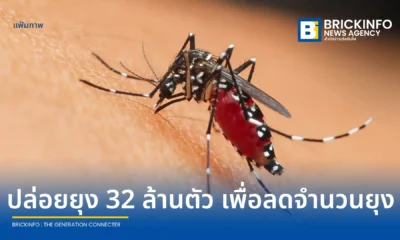 กูเกิล (Google) ยื่นขออนุมัติจาก EPA เตรียมปล่อยยุงตัวผู้เป็นหมัน 32 ล้านตัวในรัฐแคลิฟอร์เนียและฟลอริดา หวังตัดวงจรและลดประชากรยุงพาหะนำโรคเวสต์ไนล์