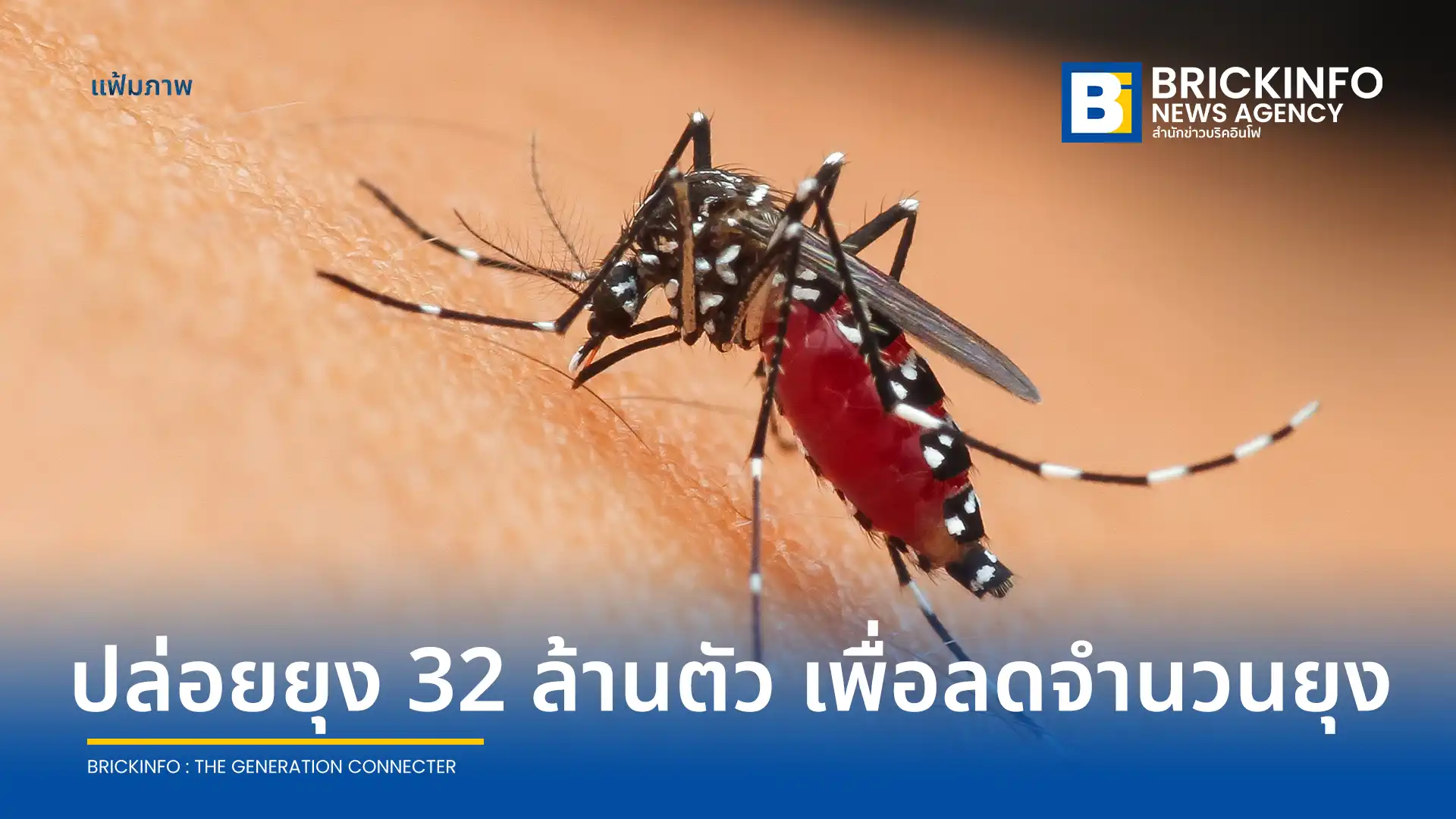 กูเกิล (Google) ยื่นขออนุมัติจาก EPA เตรียมปล่อยยุงตัวผู้เป็นหมัน 32 ล้านตัวในรัฐแคลิฟอร์เนียและฟลอริดา หวังตัดวงจรและลดประชากรยุงพาหะนำโรคเวสต์ไนล์