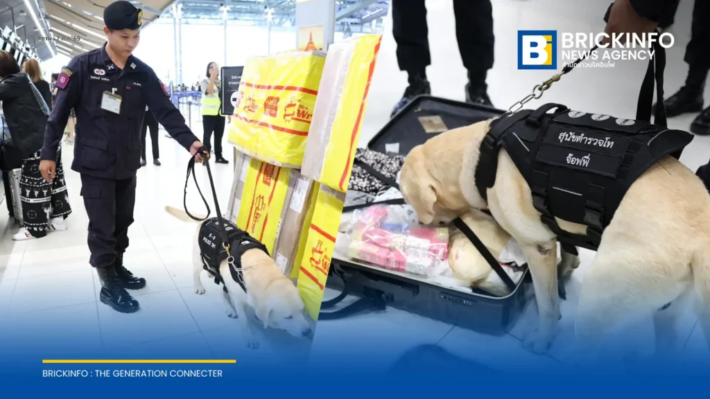 ท่าอากาศยานไทย หรือ AOT ร่วมมือกับตำรวจนำสุนัข K-9 ยกระดับมาตรการรักษาความปลอดภัย สุ่มตรวจสัมภาระผู้โดยสารและลูกเรือ สกัดกั้นยาเสพติด ณ ท่าอากาศยานสุวรรณภูมิ