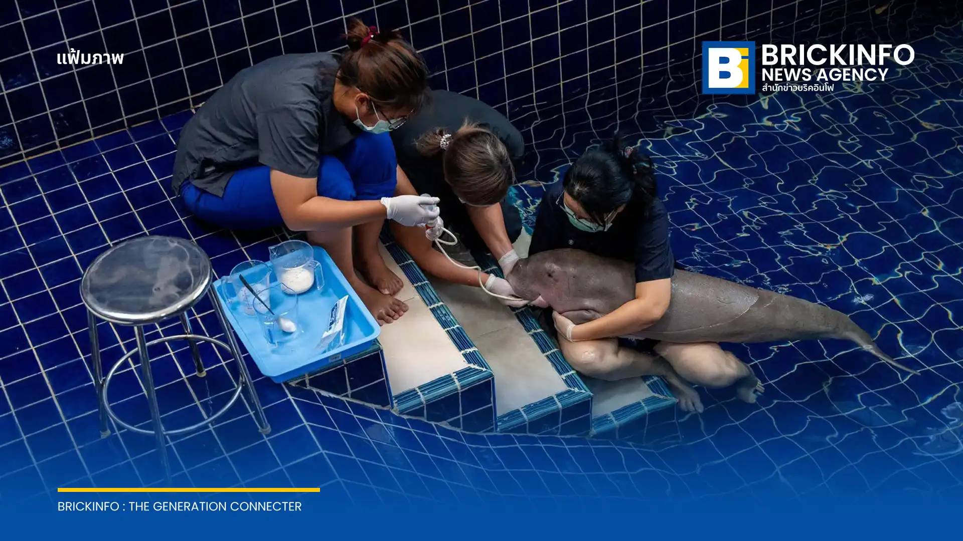รมว.ทส. สั่งเร่งชันสูตรสาเหตุการตายของลูกพะยูนเกยตื้นที่จังหวัดระนอง หลังเสียชีวิตระหว่างการรักษาที่ศูนย์ช่วยชีวิตสัตว์ทะเลหายากสิรีธาร พร้อมยกระดับการช่วยเหลือสัตว์ทะเลหายาก