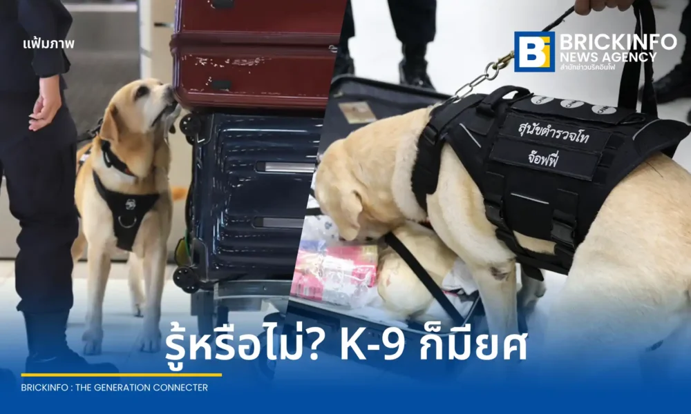 ทำความรู้จัก ยศสุนัขตำรวจ จากสำนักงานตำรวจแห่งชาติ เปิดหลักเกณฑ์การประเมินและเลื่อนยศจากสุนัขตำรวจตรีถึงสุนัขตำรวจเอก ก่อนพิจารณาปลดประจำการอย่างเป็นระบบ