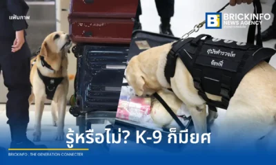 ทำความรู้จัก ยศสุนัขตำรวจ จากสำนักงานตำรวจแห่งชาติ เปิดหลักเกณฑ์การประเมินและเลื่อนยศจากสุนัขตำรวจตรีถึงสุนัขตำรวจเอก ก่อนพิจารณาปลดประจำการอย่างเป็นระบบ