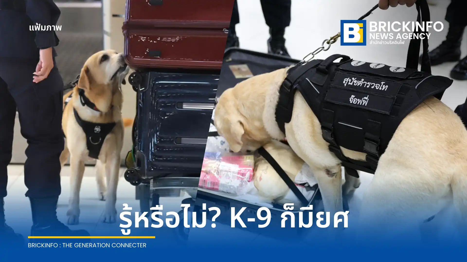 ทำความรู้จัก ยศสุนัขตำรวจ จากสำนักงานตำรวจแห่งชาติ เปิดหลักเกณฑ์การประเมินและเลื่อนยศจากสุนัขตำรวจตรีถึงสุนัขตำรวจเอก ก่อนพิจารณาปลดประจำการอย่างเป็นระบบ