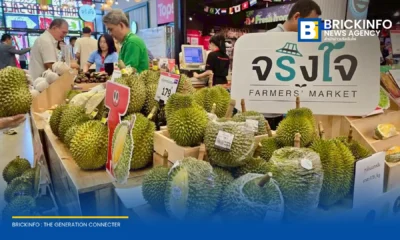 ท็อปส์ ร่วมกับสมาคมการค้าทุเรียนไทยอัตลักษณ์ชุมชน และจังหวัดสุราษฎร์ธานี จัดงานทุเรียนอัตลักษณ์และผลไม้ชุมชนของดีภาคใต้ ขนทัพทุเรียนพรีเมียมและผลไม้ GI จำหน่ายถึง 9 กรกฎาคม 2569