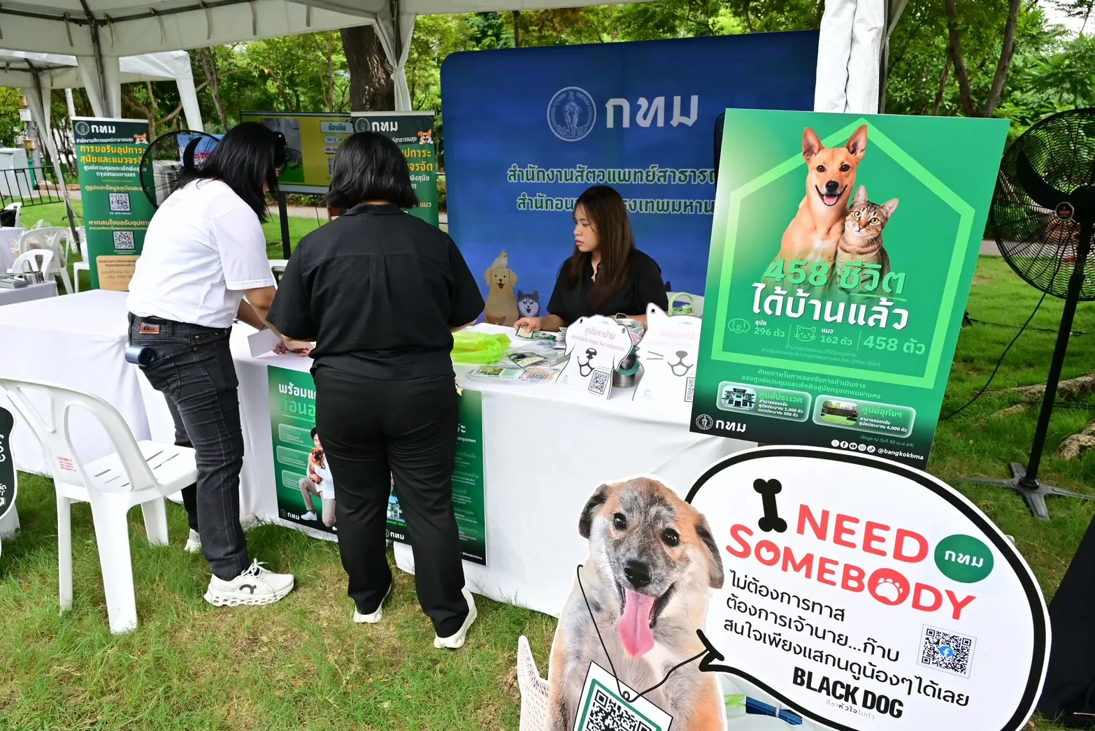 กทม. เดินหน้าคุมประชากรสุนัขจรจัดกว่า 2 แสนตัว ชูแนวทางทำหมัน ฉีดวัคซีน ฝังไมโครชิป และผลักดันสุนัขชุมชน พร้อมเปิดรับอุปการะสัตว์จากศูนย์พักพิงประเวศ