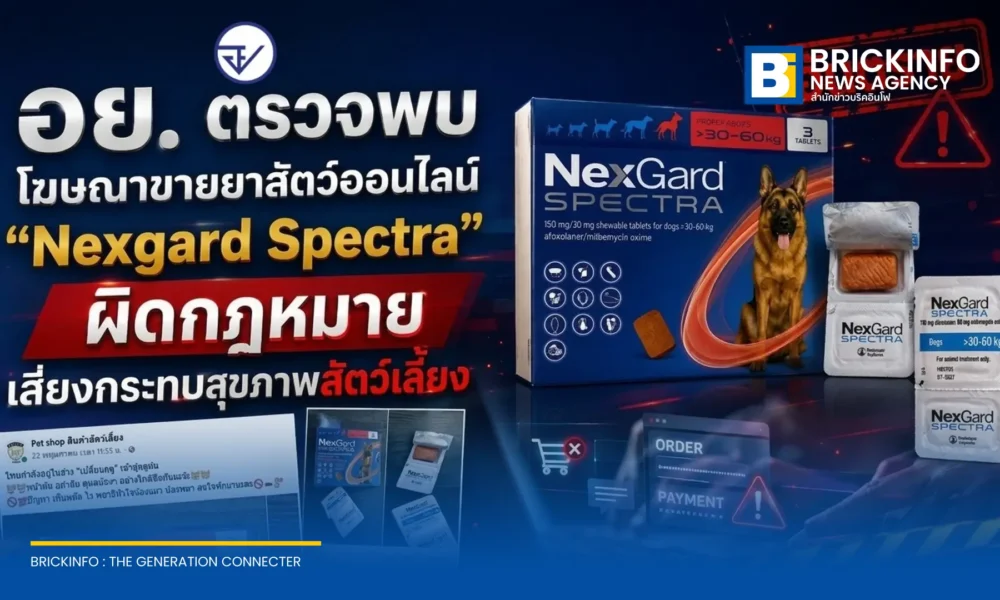 อย. เตือนภัยโฆษณาขายยาสัตว์ Nexgard Spectra ออนไลน์ผิดกฎหมาย ชี้เป็นยาควบคุม พบพฤติการณ์หลอกโอนเงิน ไม่ส่งสินค้า เสี่ยงอันตรายต่อสัตว์เลี้ยง