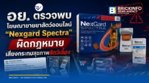 อย. เตือนภัยโฆษณาขายยาสัตว์ Nexgard Spectra ออนไลน์ผิดกฎหมาย เสี่ยงเจอสินค้าปลอมและโดนหลอกโอนเงิน