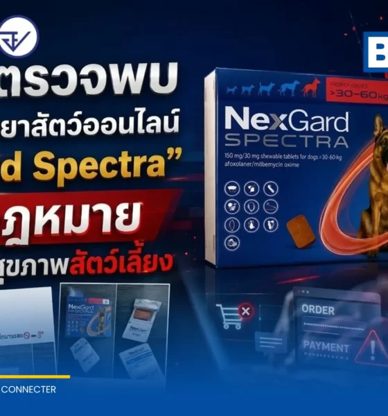 อย. เตือนภัยโฆษณาขายยาสัตว์ Nexgard Spectra ออนไลน์ผิดกฎหมาย ชี้เป็นยาควบคุม พบพฤติการณ์หลอกโอนเงิน ไม่ส่งสินค้า เสี่ยงอันตรายต่อสัตว์เลี้ยง