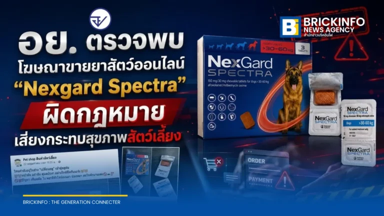 อย. เตือนภัยโฆษณาขายยาสัตว์ Nexgard Spectra ออนไลน์ผิดกฎหมาย เสี่ยงเจอสินค้าปลอมและโดนหลอกโอนเงิน