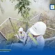 AIS เตรียมความพร้อมโครงข่ายสื่อสารทั่วประเทศ เฝ้าระวังสถานการณ์น้ำท่วมตลอด 24 ชั่วโมง เสริมพลังงานสำรองและสถานีฐานเคลื่อนที่รองรับพื้นที่ฉุกเฉิน