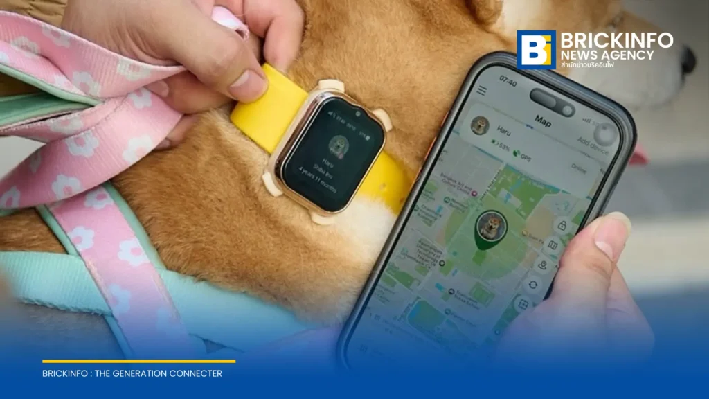 AIS เปิดตัว AIS SMART Pets Phone อุปกรณ์ติดตามและสื่อสารสัตว์เลี้ยงแบบเรียลไทม์