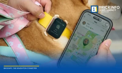 AIS เปิดตัว AIS SMART Pets Phone อุปกรณ์ติดตามพิกัด GPS และสื่อสารแบบ Two-Way Video Call สำหรับสัตว์เลี้ยง รองรับ Safe Zone และปุ่ม SOS
